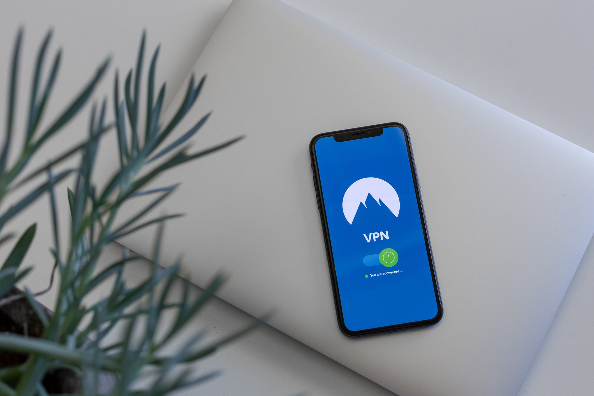  Free VPN Vs Paid VPN Which Should You Choose 